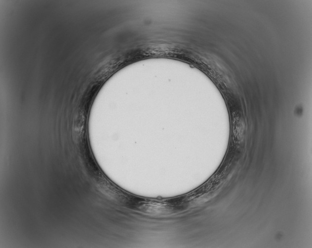 X0000116880507201001191747