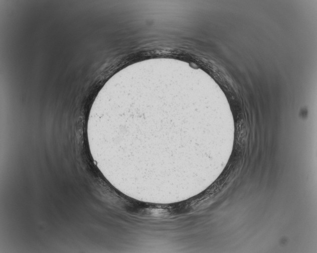 X0000116880509201001191747