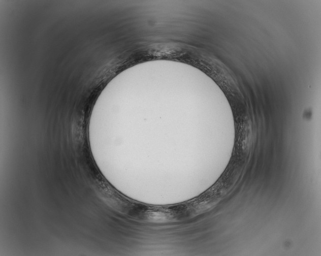 X0000116880510201001191747