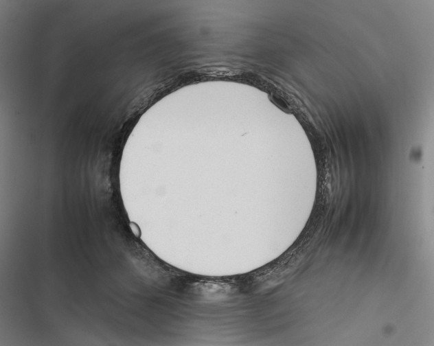 X0000116880512201001191747