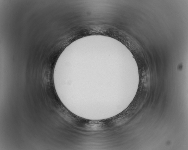 X0000116880514201001191747