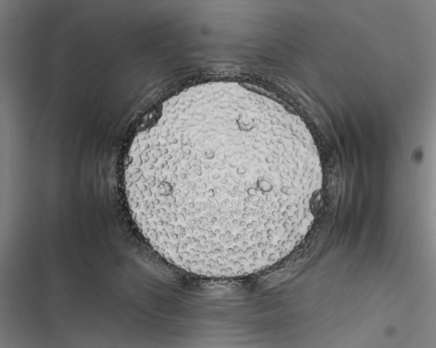 X0000116880516201001191747