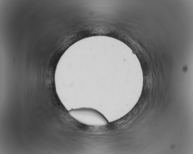 X0000116880517201001191747