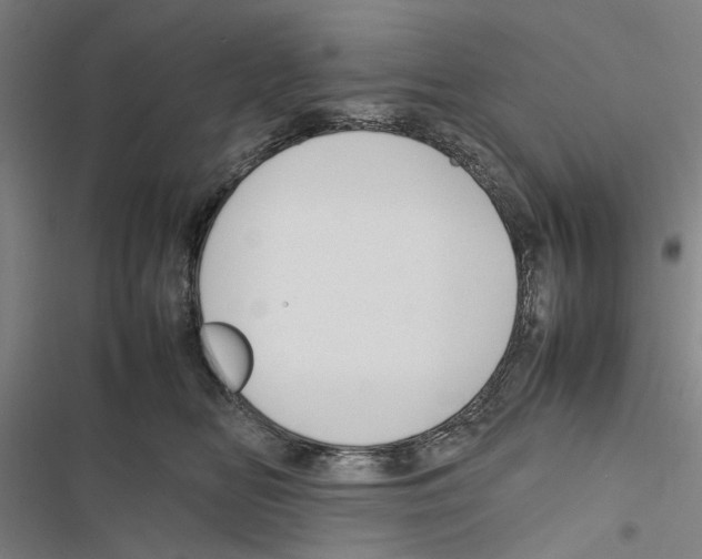 X0000116880518201001191747