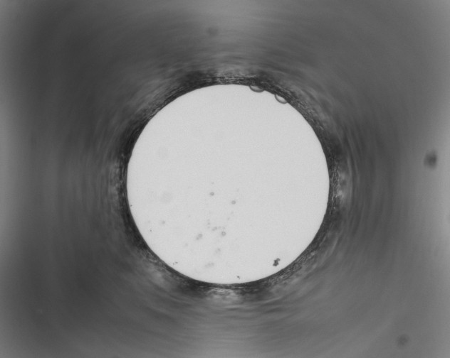 X0000116880519201001191747