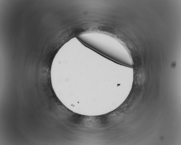 X0000116880521201001191747