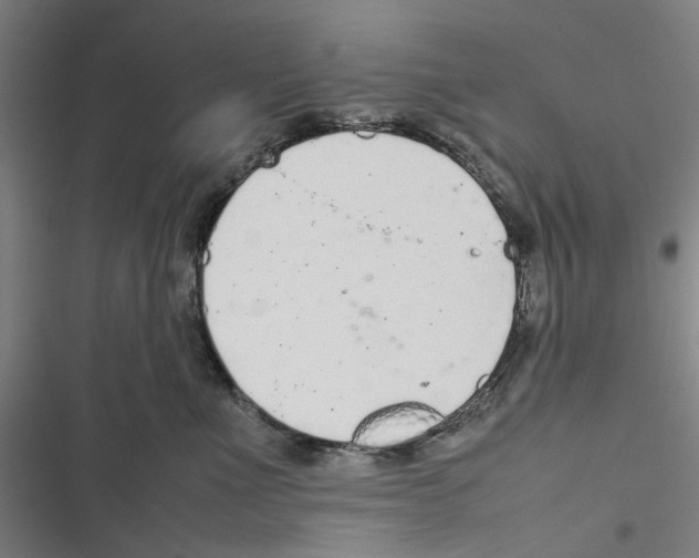 X0000116880523201001191747