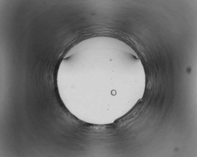 X0000116880524201001191747