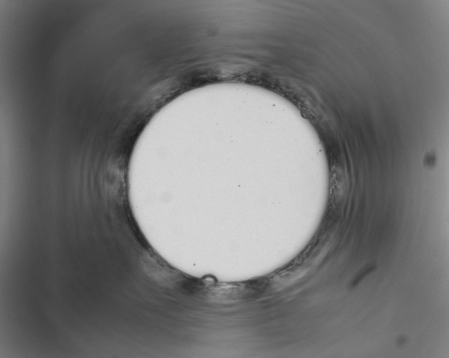X0000116880527201001191747