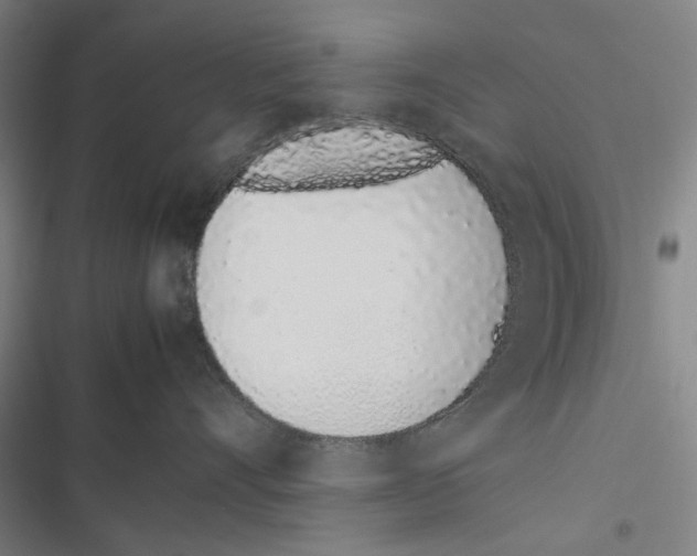 X0000116880528201001191747