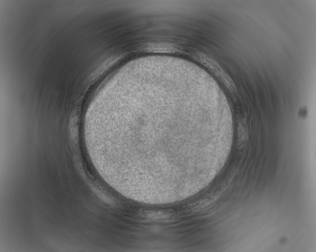 X0000116880533201001191746