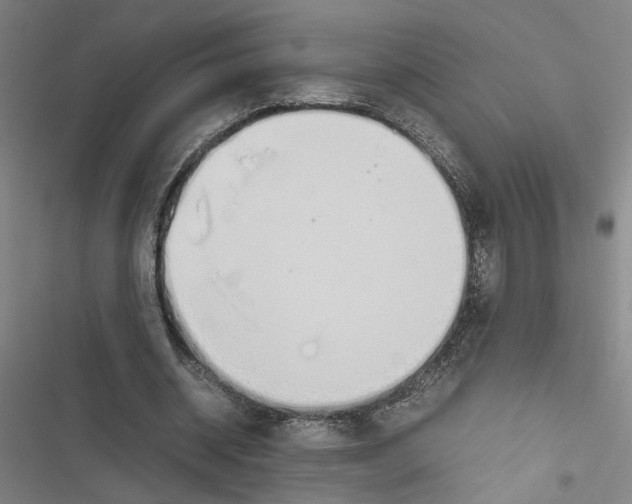 X0000116880534201001191746