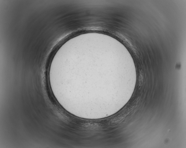 X0000116880535201001191746