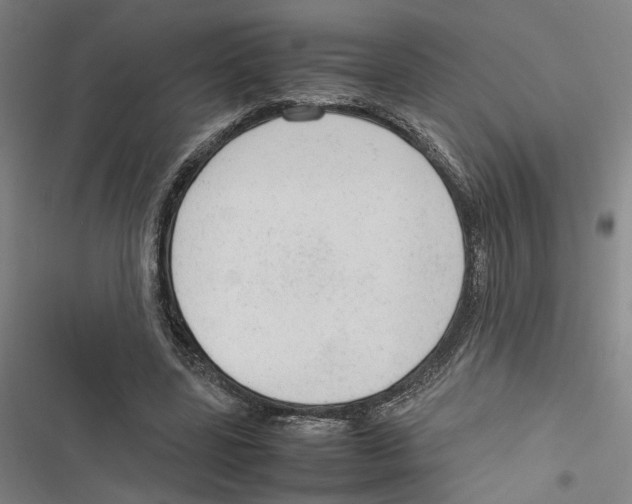X0000116880539201001191746