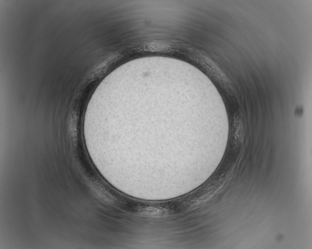 X0000116880542201001191746