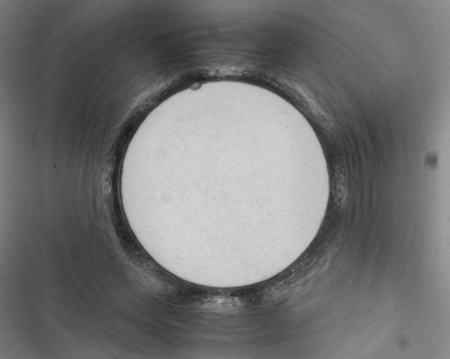 X0000116880543201001191746