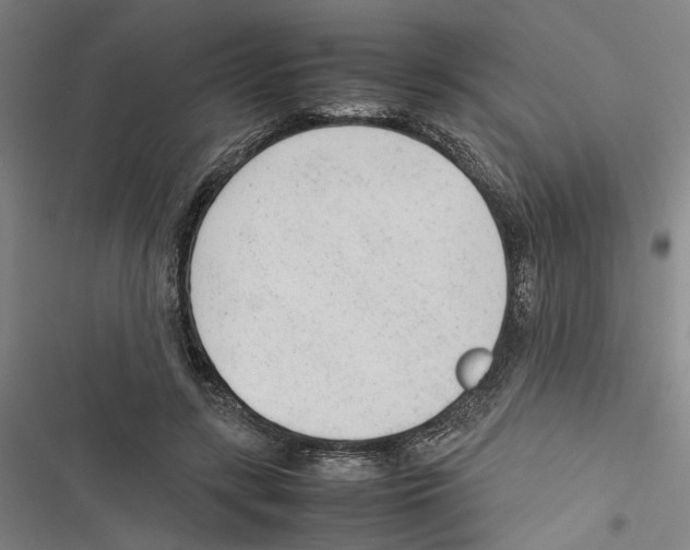 X0000116880547201001191746
