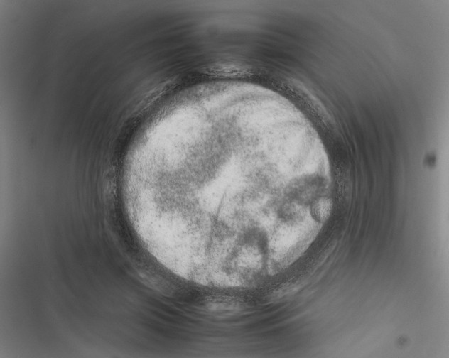 X0000116880549201001191746
