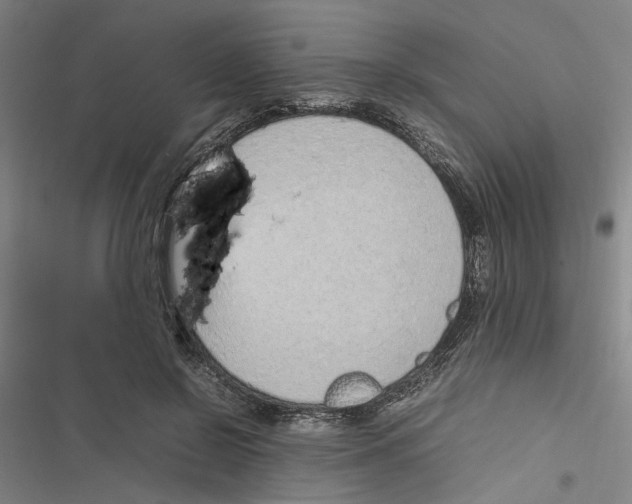 X0000116880550201001191746