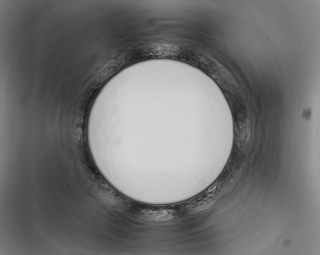 X0000116880553201001191746