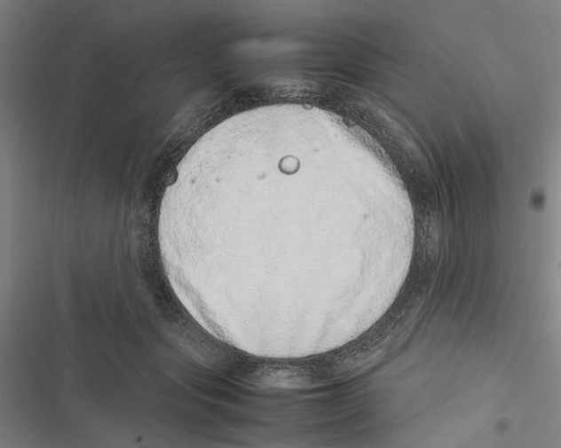 X0000116880557201001191746