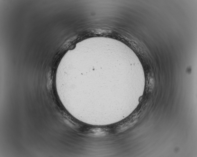 X0000116880558201001191746