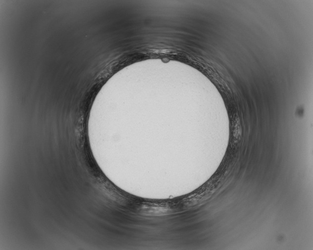 X0000116880559201001191746