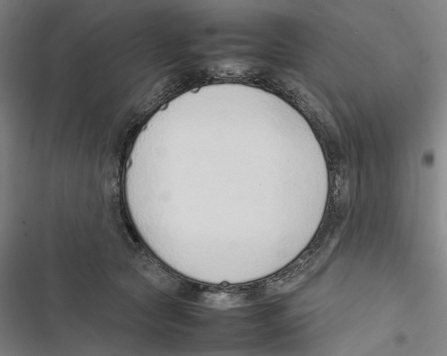 X0000116880561201001191746