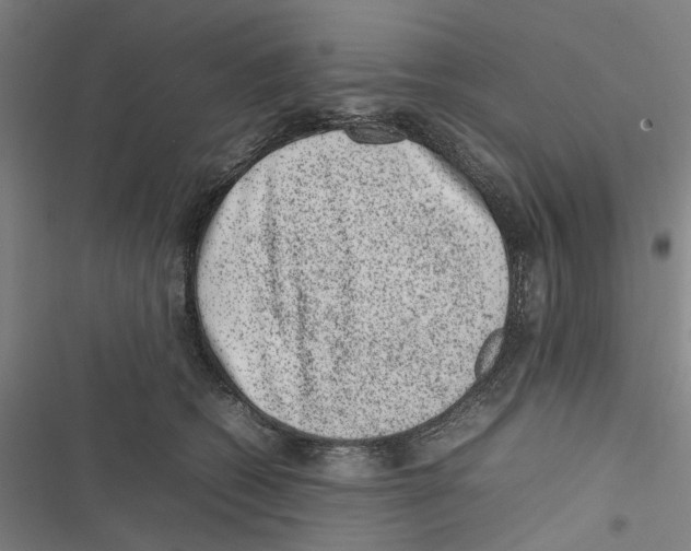 X0000116880562201001191746