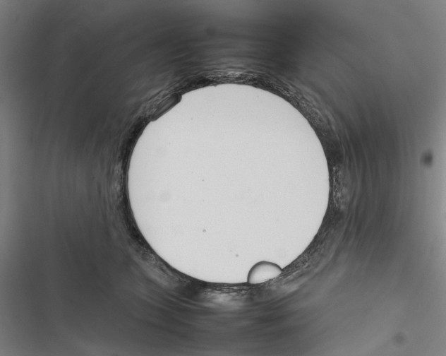 X0000116880563201001191746