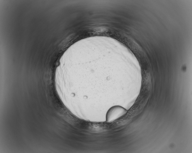 X0000116880565201001191746