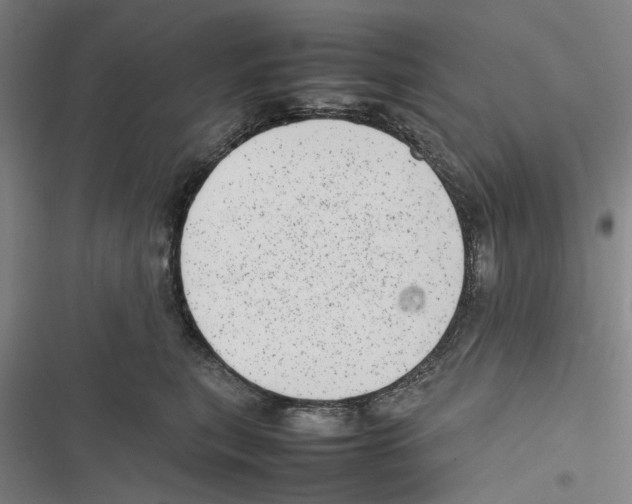 X0000116880567201001191746