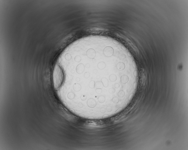 X0000116880569201001191746