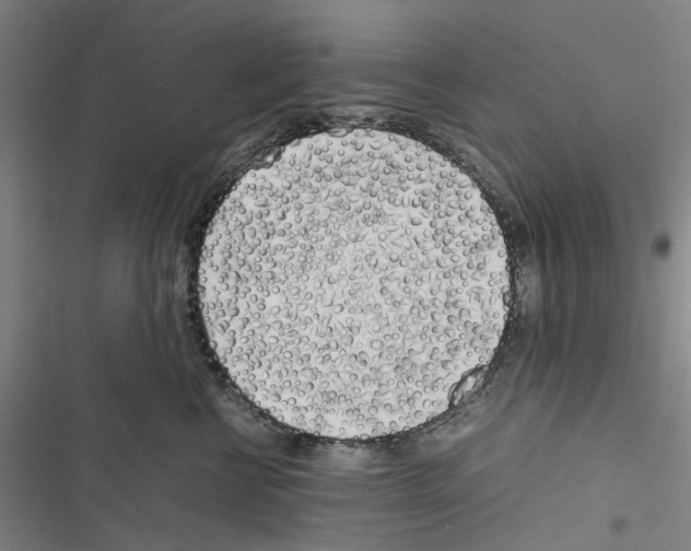 X0000116880570201001191747