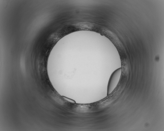 X0000116880573201001191747