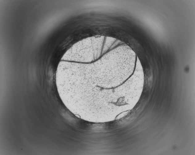 X0000116880574201001191747
