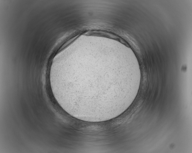 X0000116880578201001191746