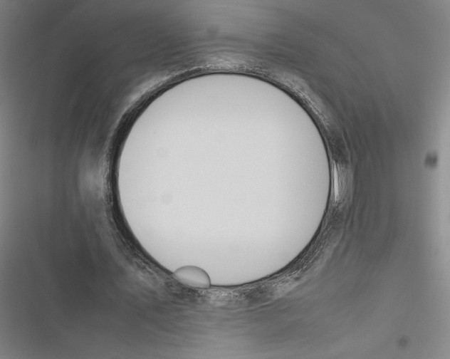 X0000116880579201001191746