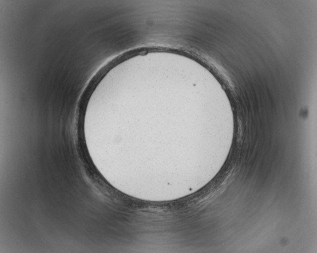 X0000116880580201001191746