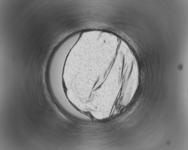 X0000116880581201001191746