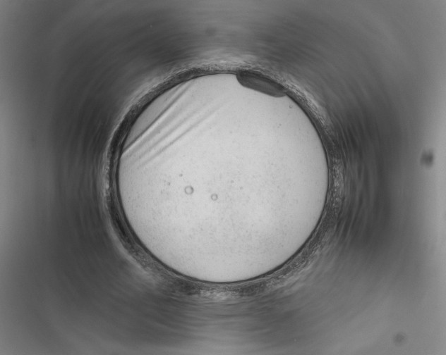 X0000116880582201001191746