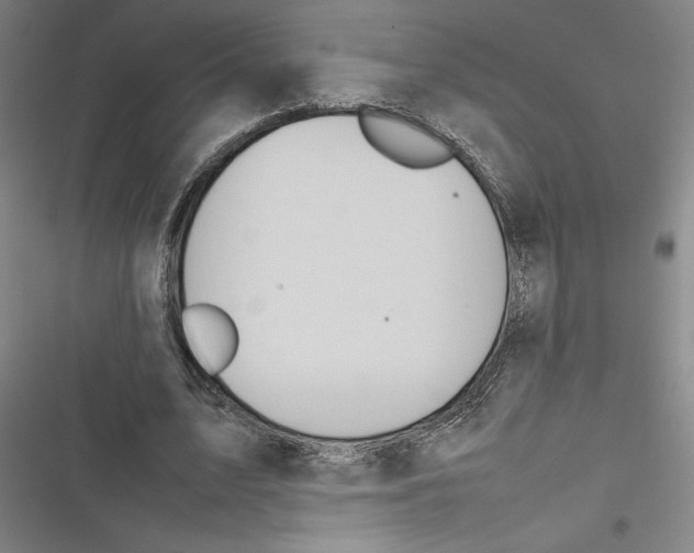 X0000116880583201001191746
