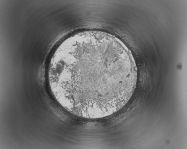 X0000116880584201001191746