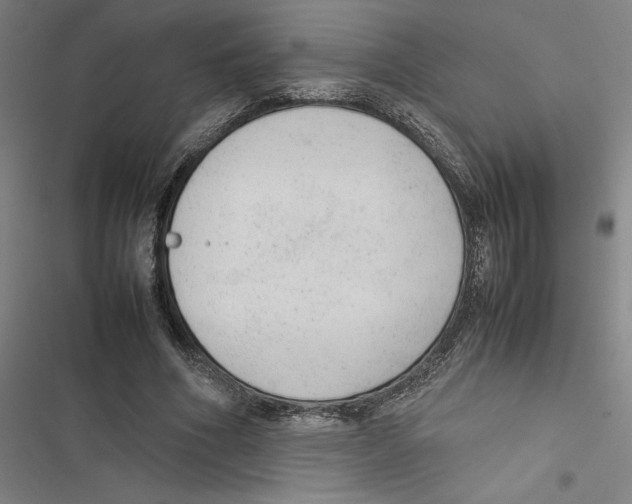 X0000116880586201001191746