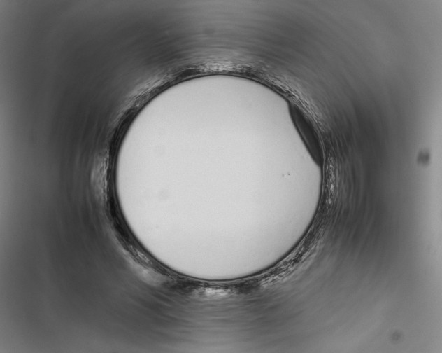X0000116880590201001191745
