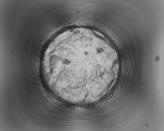 X0000116880592201001191745