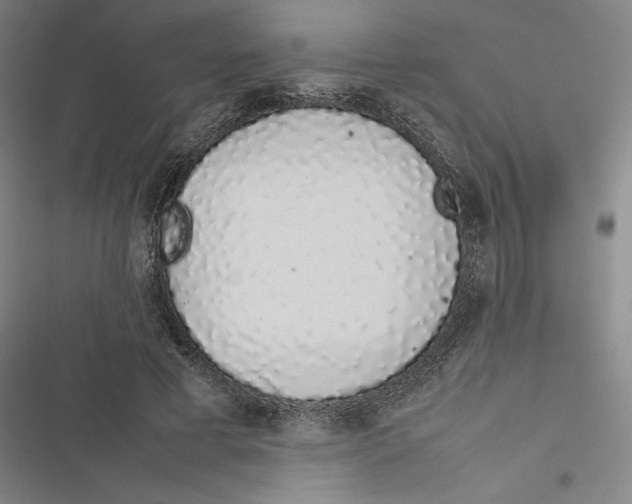 X0000116880593201001191745