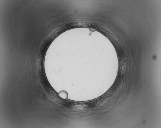 X0000116880595201001191745