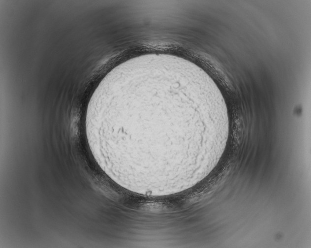 X0000116880596201001191745