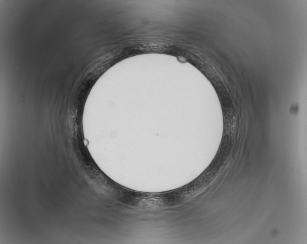 X0000116880599201001191745